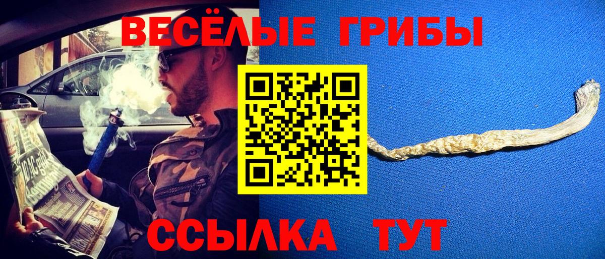 где купить наркоту  Псилоцибиновые грибы Psilocybe  Вход с VPN  Галлюциногенные грибы Cubensis  Каспийск 